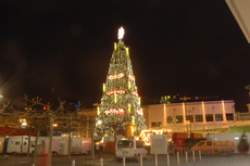 größter Weihnachtsbaum_2.jpg